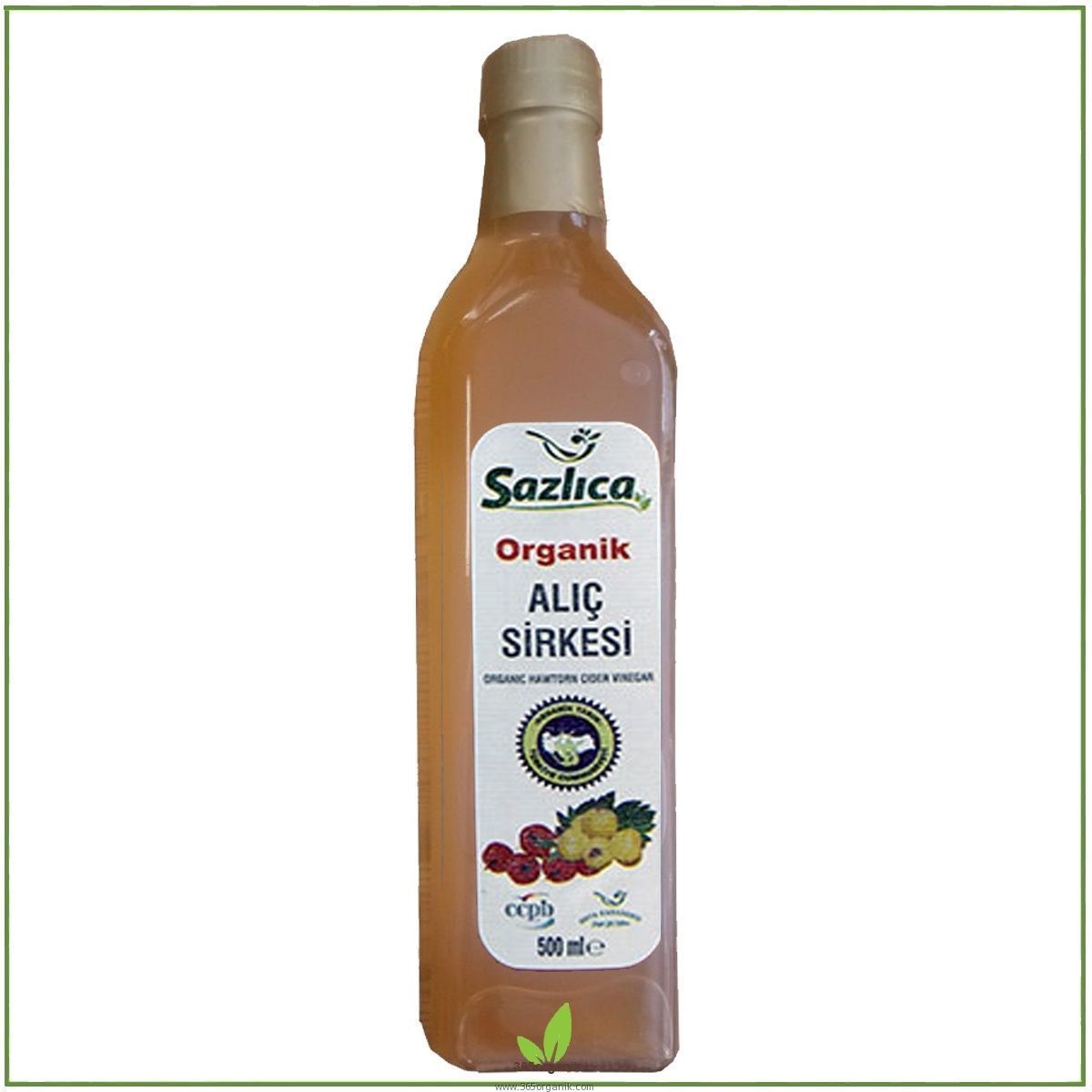 Sazlıca Organik Alıç Sirkesi 500 ml